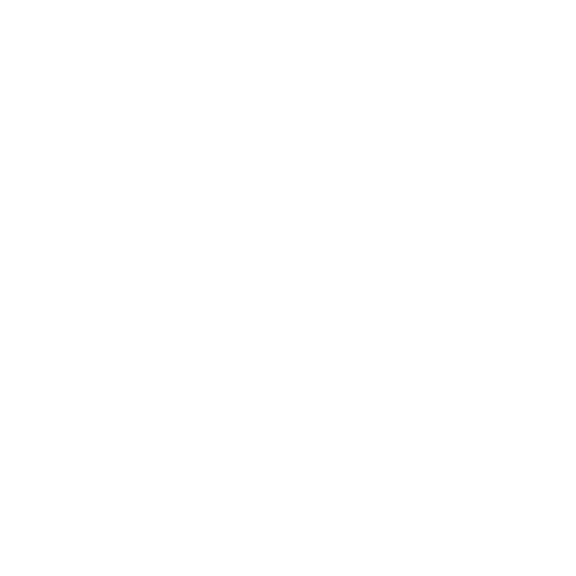 logo-big-white logo-big-white